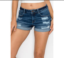 Load image into Gallery viewer, Vintage Destruction Shorts
